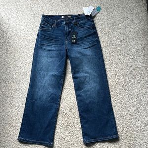 Kut from the Kloth Charlotte wide leg